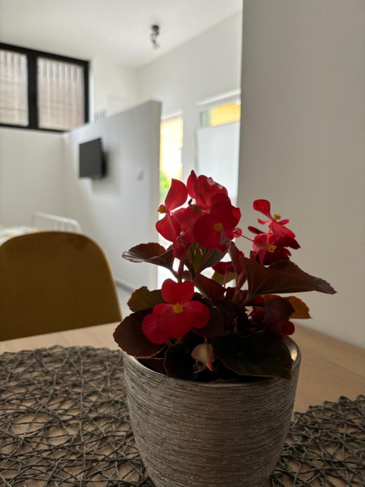 Apartment Jang Tolmin Exterior photo